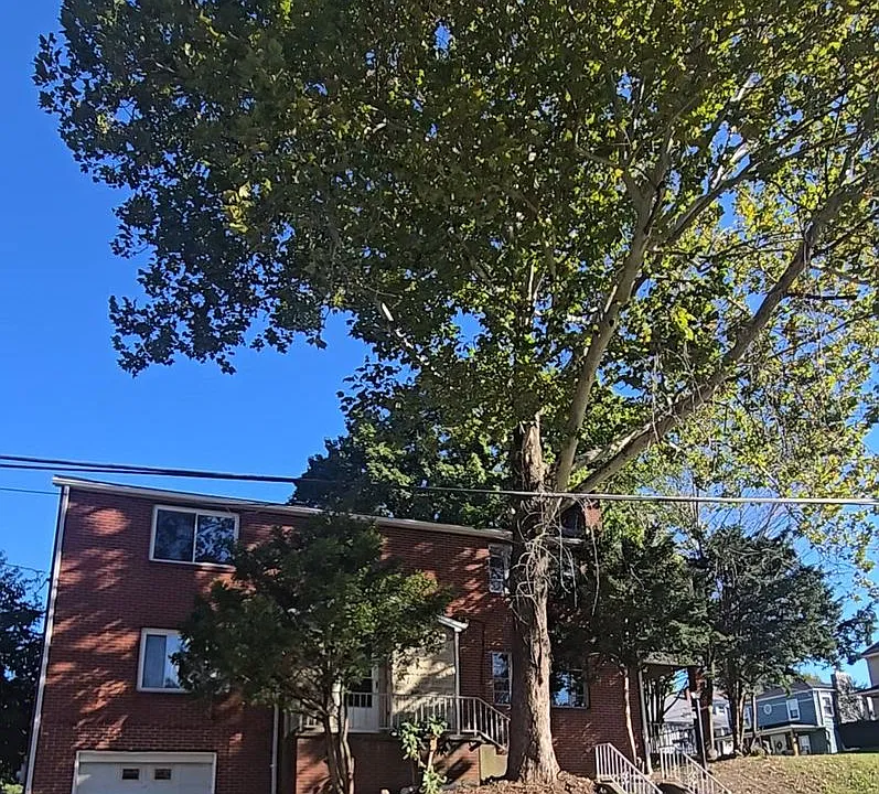 1400 Center Ave