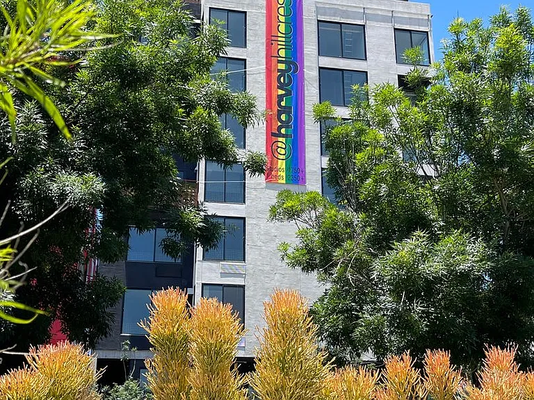 Harvey Hillcrest — Photo 19