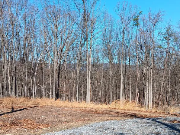 84 Driftwood Egret, Gerrardstown, WV 25420