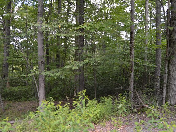 2nd image of 192 Azalea Ln