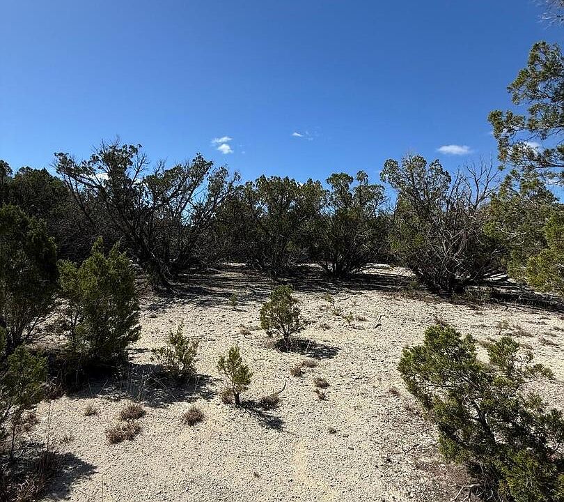 2nd image of 264 Cedar Hill Dr LOT 60