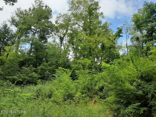 2036 Ridge Rd #16, Pigeon Forge, TN 37863