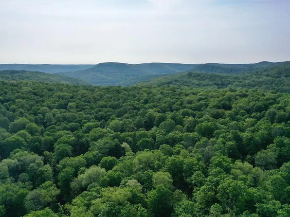 0 Post Hollow Rd, Shinglehouse, PA 16748