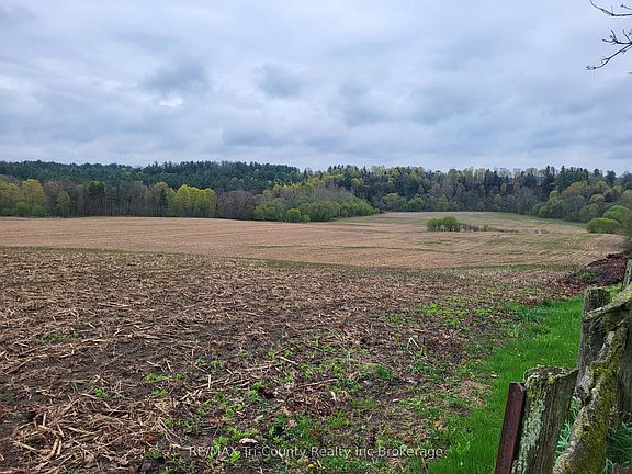 4th image of 9088 Culloden Rd