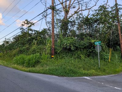 S Puni Makai Loop, Pahoa, HI, 96778