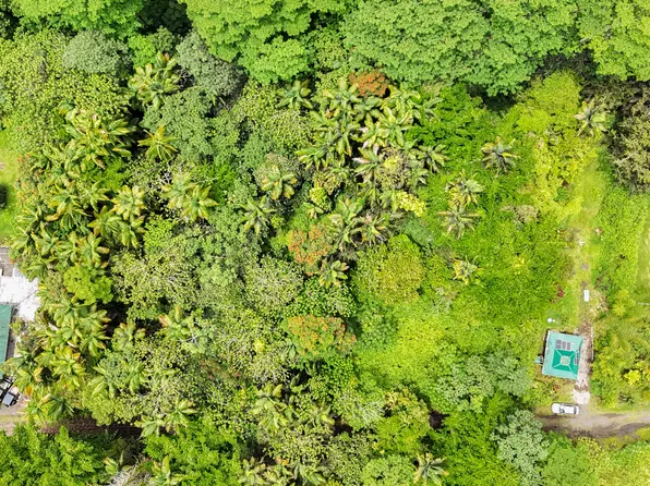 Japanese Camp Rd Lot 47, Pahoa, HI 96778
