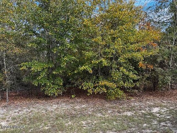 3rd image of 185 Hidden Creek Cir