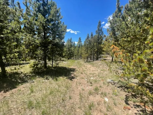 1503 Cornucopia, Leadville, CO 80461