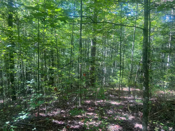 0 CONASAUGA, Other City - Not In The State Of Florida, GA 30540