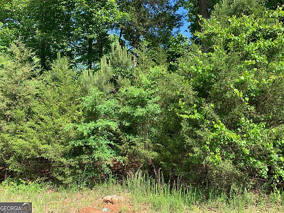 4th image of 1208 Hornets Bridge Rd