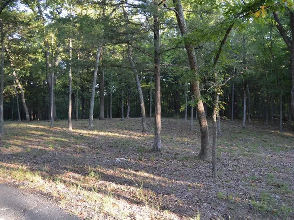 Tbd Pokeberry Ln, Lampe, MO 65681