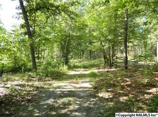 445 Dogwood Ln, Rising Fawn, GA 30738