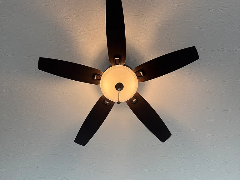 Main bedroom ceiling fan