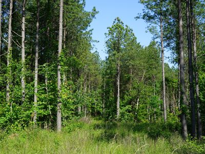 0 Brayton Rd #10, Graysville, TN, 37338