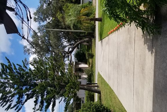 4th image of 1485 N Peninsula Dr #2