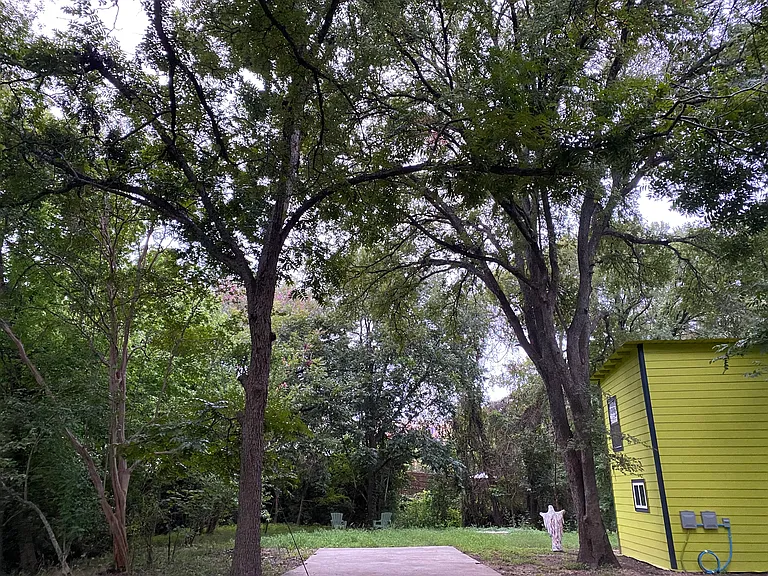3705 Commerce St #A — Photo 20