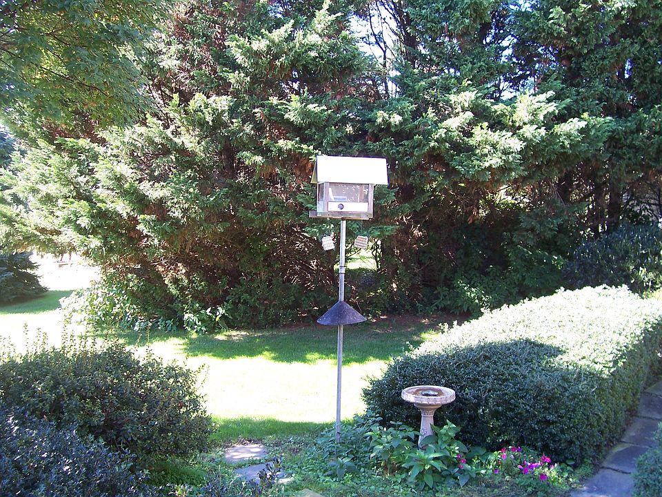 Welcome the birds & wildlife!