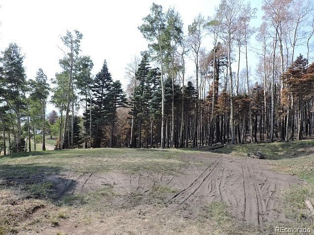 1st image of 2337 Strauss Dr