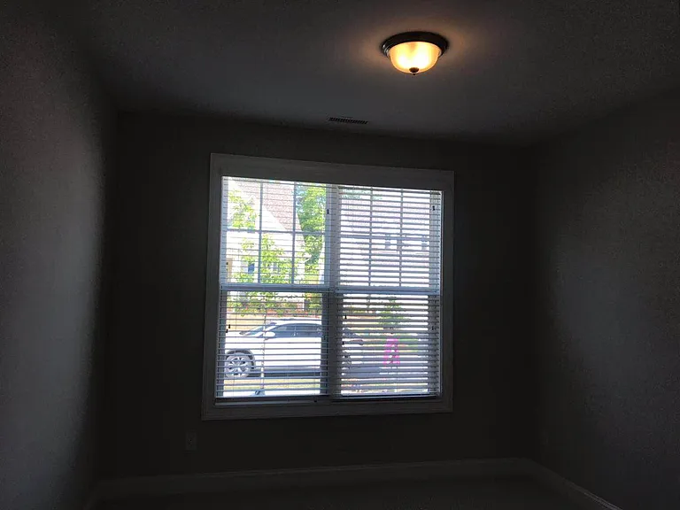 341 Lucky Ribbon Ln — Photo 12