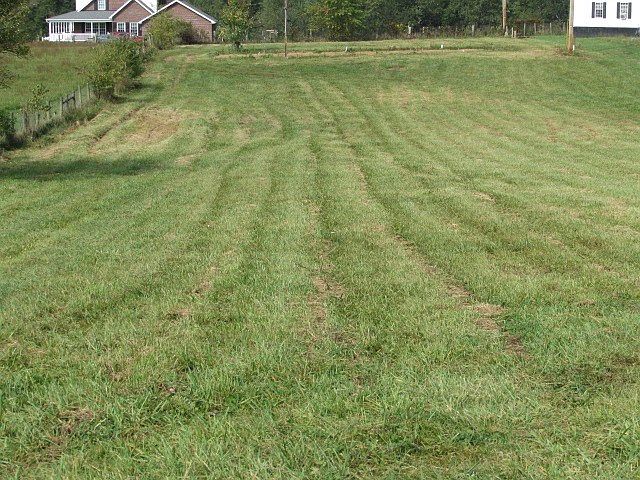 1st image of 1445 Cripple Creek Rd