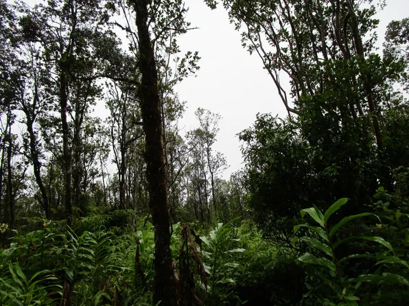 Kokokahi Rd Lot 28, Volcano, HI 96785