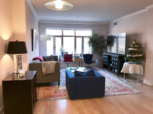 11 Forest St APT 205, Stamford, CT 06901