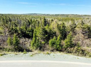 25 Witch Hazel Rd, Portugal Cove Saint Philip'S, NL A1M3N6