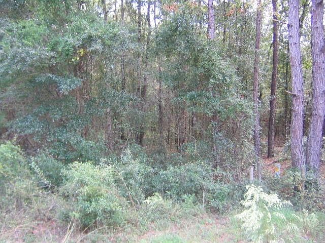 2nd image of Sweetfield Rd