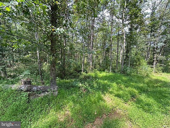 5th image of 0 Egypt Bend Rd