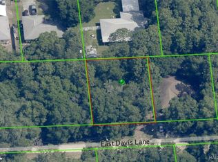 3157 E Davis Ln, Inverness, FL 34453