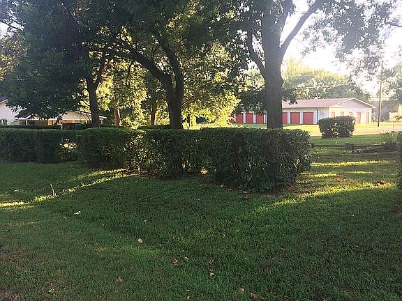 Southeast Lot Hedges