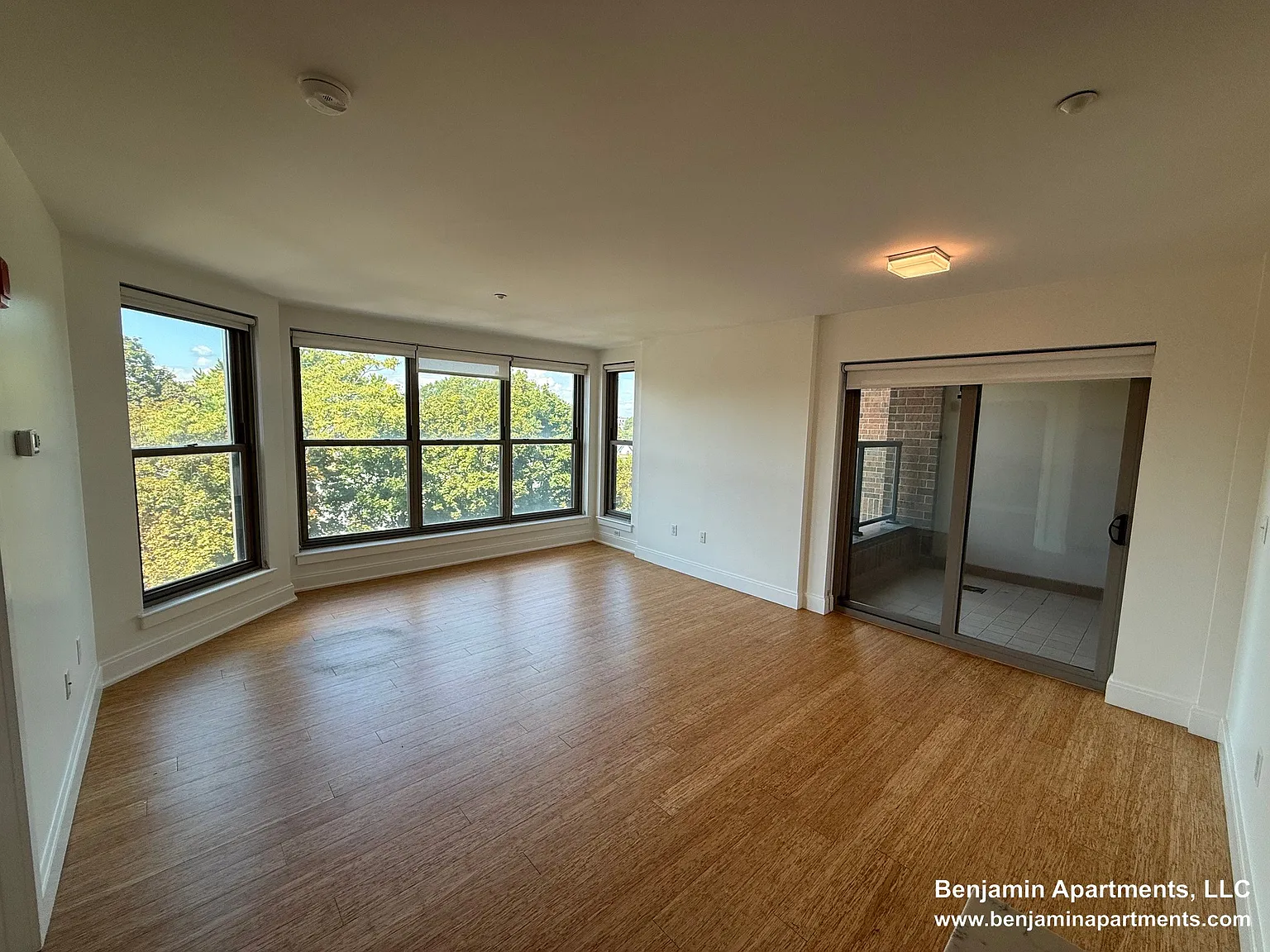 2 bed, $4,500 — Photo 3