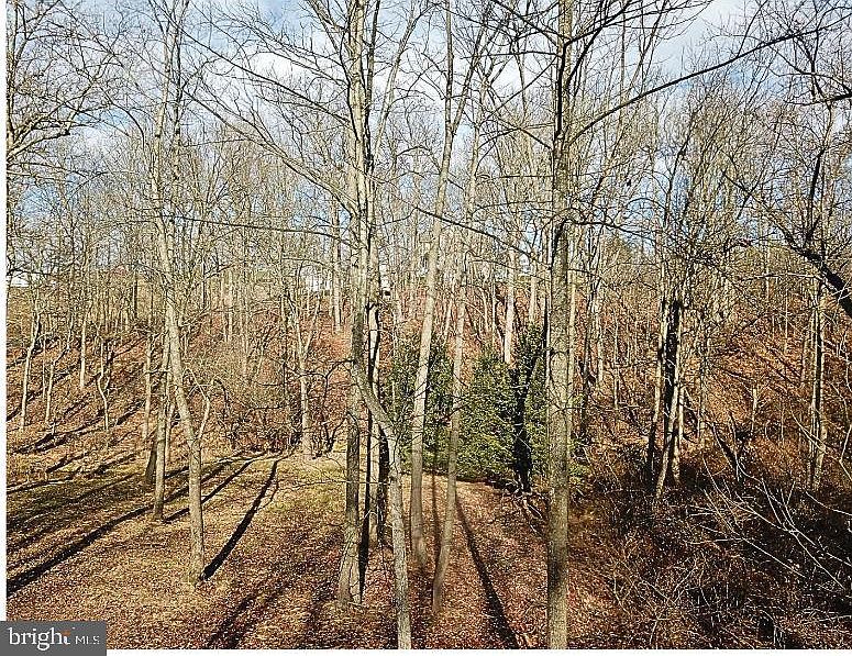 2nd image of 0 Pleasant View Rd