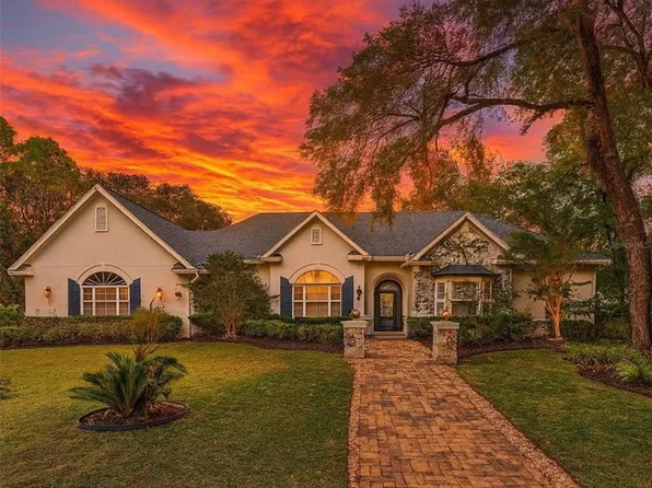 19811 Lake Dorr Rd, Altoona, FL 32702