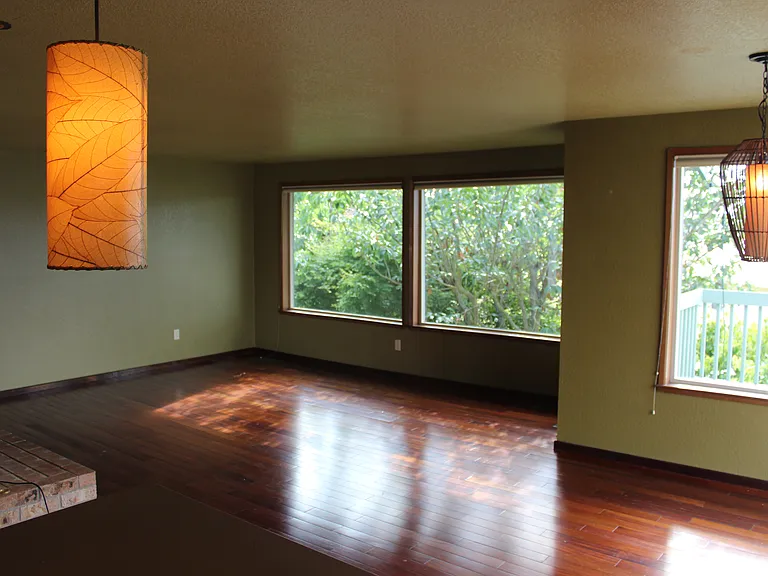 Living Room (from kitchen)