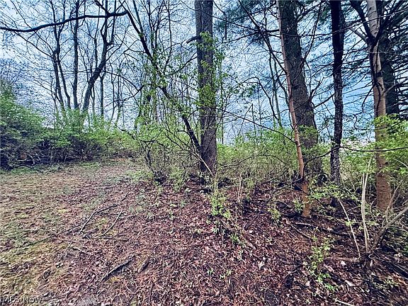 3rd image of Saylor Rd