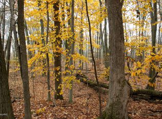 10242 Lake Shore Dr, Evart, MI 49631