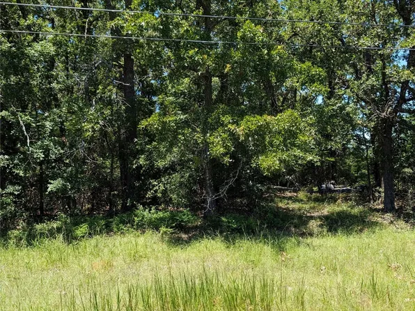 Water Oak Rd, Trinidad, TX 75163