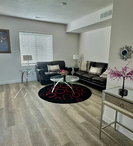 Living/Family area with full size couch and loveseat displaced