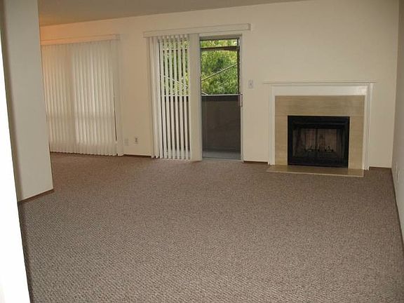 Fireplace.. just right!