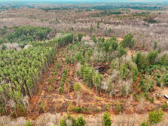 2nd image of V/l 1 Mile Rd
