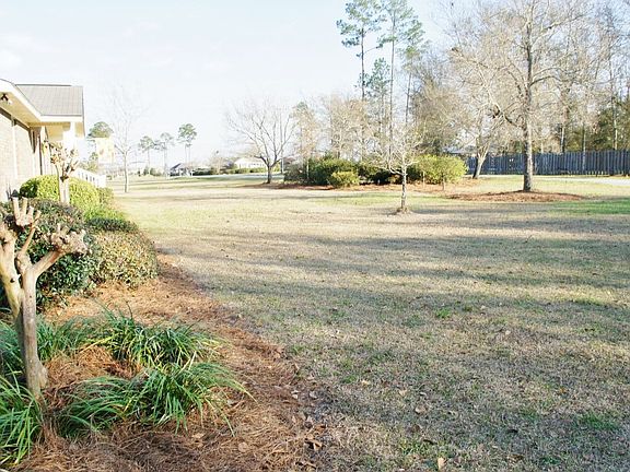 Front yard from carport