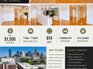 1111 S Akard St Unit 304, Dallas, TX 75215