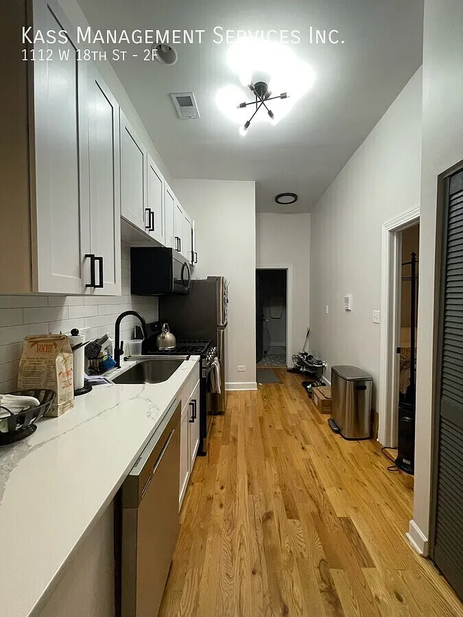 Beautiful 2bd apartment in Pilsen — Photo 2