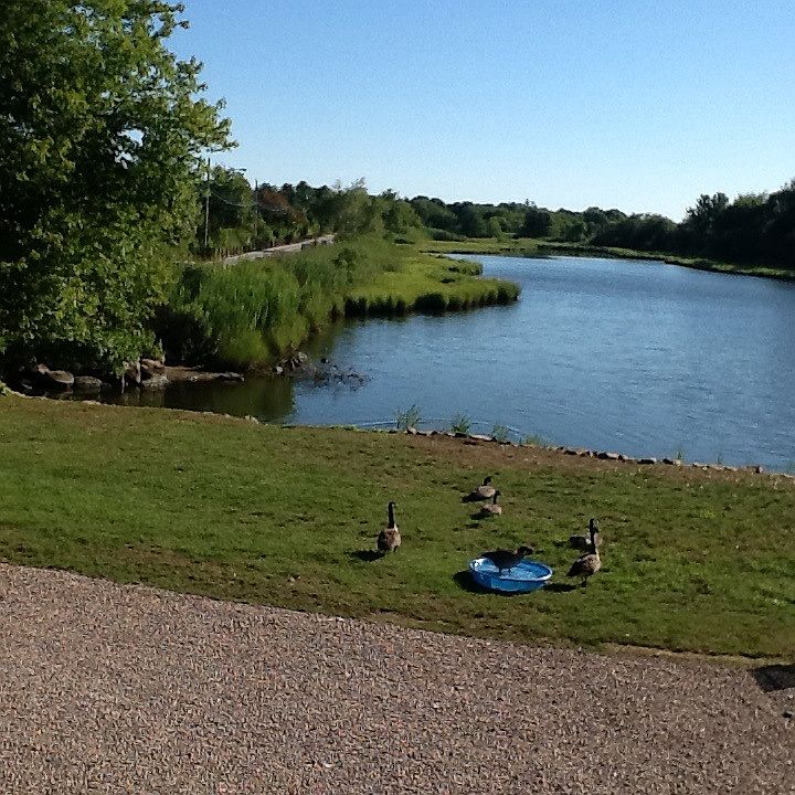 Summer View from home