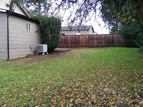 Back Yard - looking East
