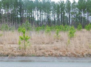 81 Ithica Ln, Bunnlevel, NC 28323