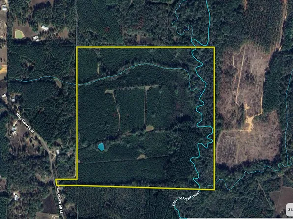 Highway 44 Lot Wp001, Ruth, MS 39662