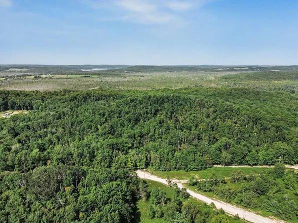 0 Padgett Rd, Boyne Falls, MI 49713