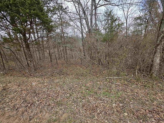 4th image of L15-B3 S Summit Ridge Dr